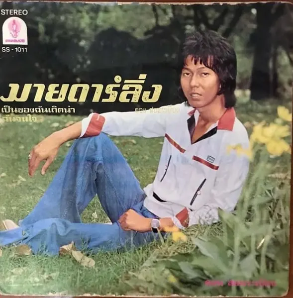DON SONRABIAB / MAI DARLING / PEN KHONG CHAN THOET NA / CHAN JON JAI