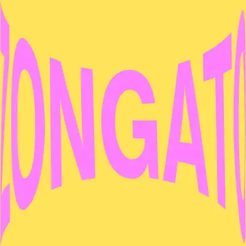 INIGO VONTIER / ZONGATO EP