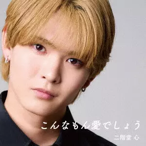 SHIN NIKAIDO / 二階堂心 / こんなもん愛でしょう