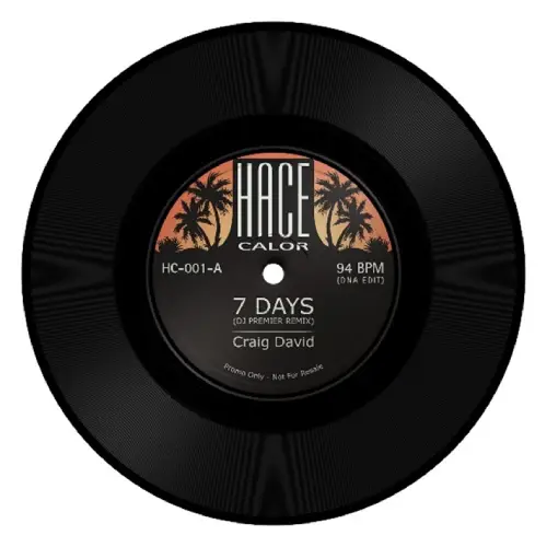 CRAIG DAVID / RUFF ENDZ / 7 DAYS (DNA EDIT) / NO MORE (DNA EDIT) (7")