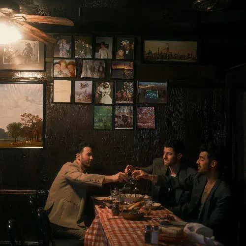 JONAS BROTHERS / ジョナス・ブラザーズ / GREETINGS FROM YOUR HOMETOWN [CD]