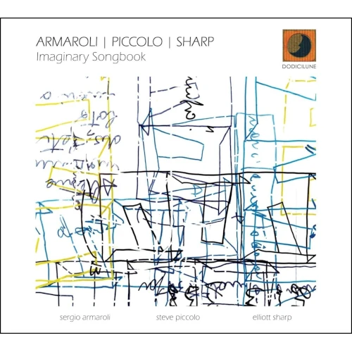 ELLIOTT SHARP / エリオット・シャープ / IMAGINARY SONGBOOK