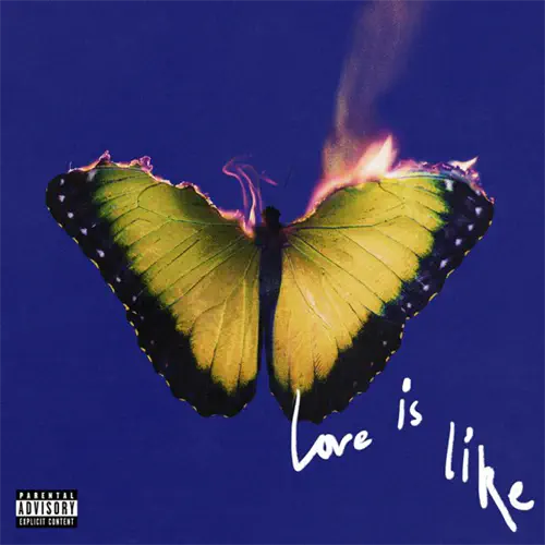 MAROON 5 / マルーン5 / LOVE IS LIKE?[STANDARD CD ] / LOVE IS LIKE [STANDARD CD]