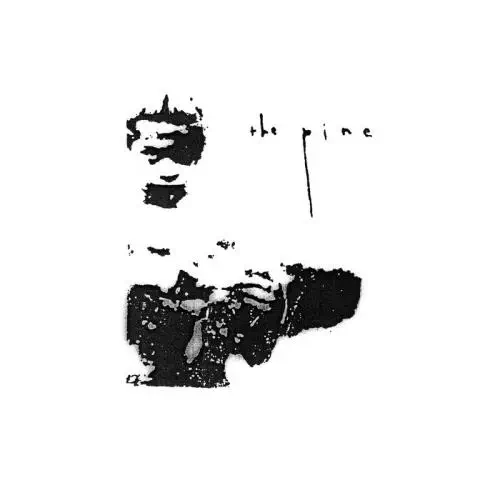 PINE / パイン / PINE / PINE 