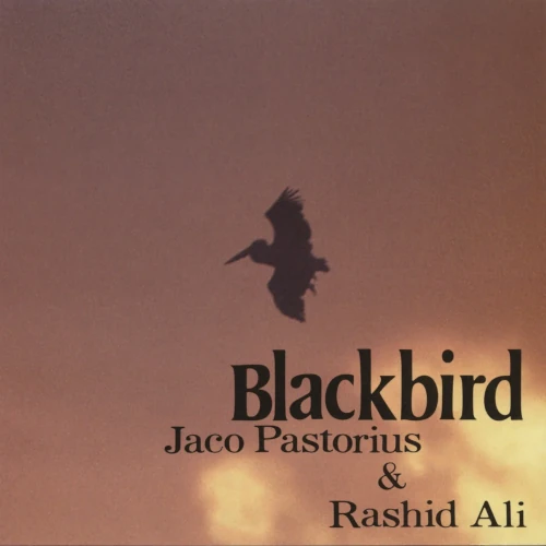 JACO PASTORIUS & RASHIED ALI / ジャコ・パストリアス&ラシッド・アリ / ブラックバーズ