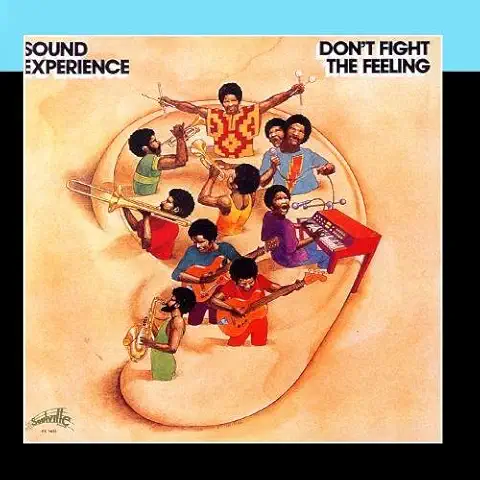 SOUND EXPERIENCE / サウンド・エクスペリエンス / DON'T FIGHT THE FEELING