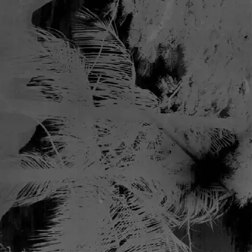 AGORA(ELECTRONICA) / AGORA