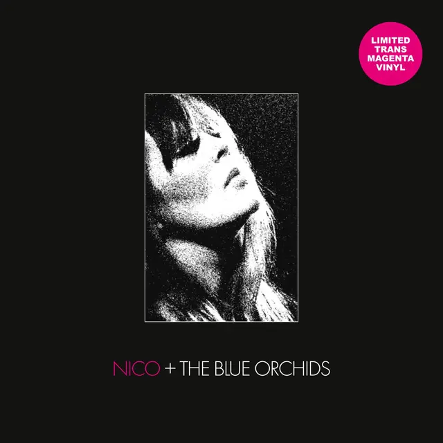 NICO AND THE BLUE ORCHIDS / LIVE AND IN SESSION 1982 (TRANSPARENT MAGENTA VINYL)