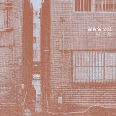 KIM HWAL SUNG / キム・ファルソン / THE REMNANT FOREST