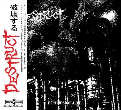 DESTRUCT (D-BEAT/RICHMOND) / ECHOES OF LIFE + EXTRA TRACKS