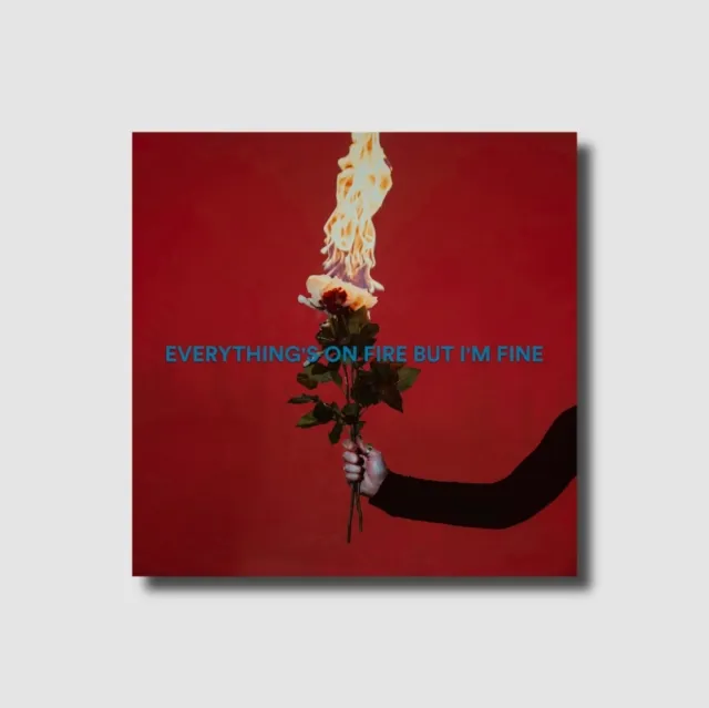 AS DECEMBER FALLS / EVERYTHING'S ON FIRE BUT I'M FINE [CD/DELUXE]