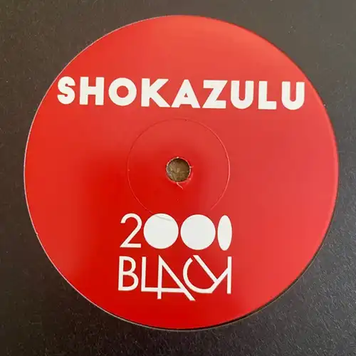SHOKAZULU / ショッカーズル / NAVIGATE YOUR SOUL / PEACE TO THE PUZZLE