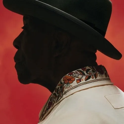 BUDDY GUY / バディ・ガイ / AIN'T DONE WITH THE BLUES