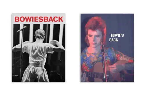 RON GOTT / BOWIE'S BACK