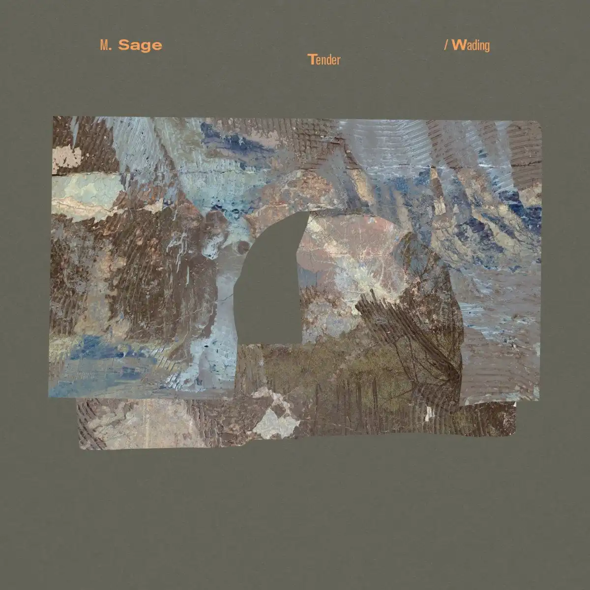 M. SAGE / TENDER / WADING [LP - BLACK]