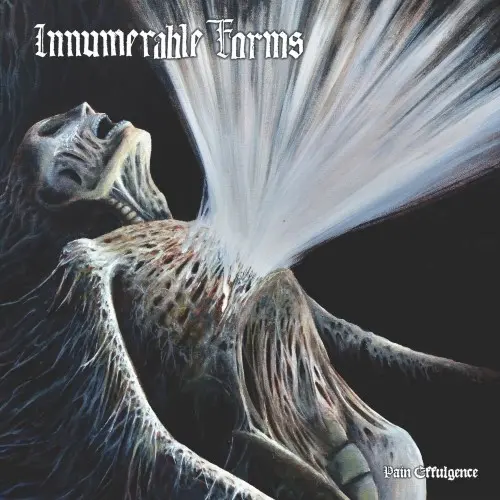 INNUMERABLE FORMS / PAIN EFFULGENCE<VINYL>