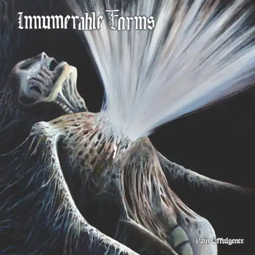 INNUMERABLE FORMS / PAIN EFFULGENCE