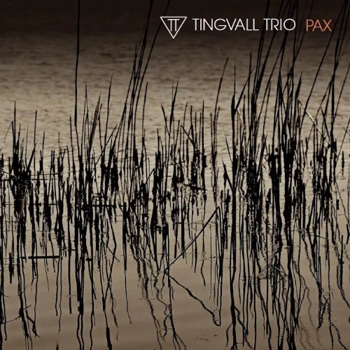 TINGVALL TRIO / ティングヴァル・トリオ / PAX (LP)