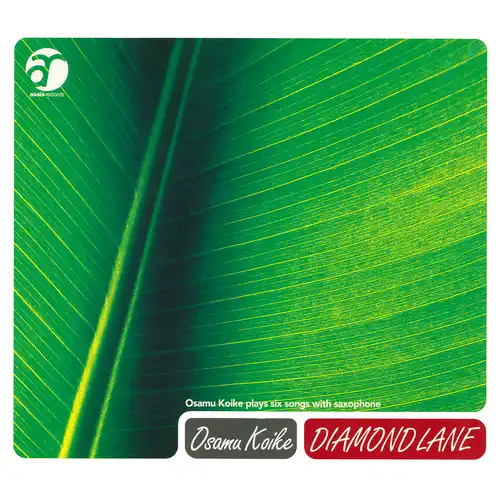 OSAMU KOIKE / 小池修 / DIAMOND LANE（LABEL ON DEMAND）