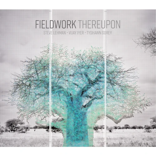 FIELDWORK / フィールドワーク / THEREUPON (LP)