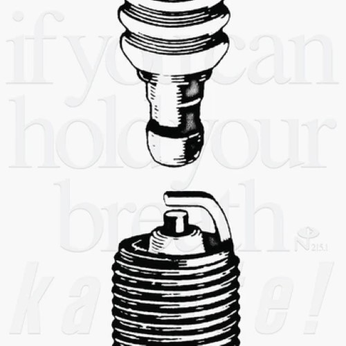 KARATE / IF YOU CAN HOLD YOUR BREATH (5LP)