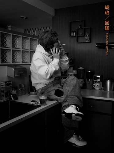 SEKAI NO OWARI (END OF THE WORLD) / 琥珀 / 図鑑（初回限定盤A CD+DVD）