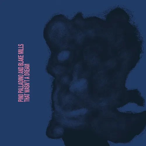PINO PALLADINO & BLAKE MILLS / THAT WASN'T DREAM (LP)
