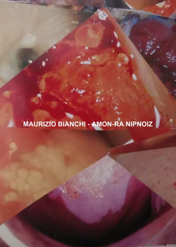 MAURIZIO BIANCHI (M.B.) / マウリツィオ・ビアンキ (M.B.) / AMON-RA NIPNOIZ（2CD-R）