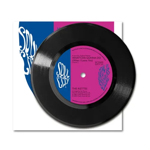 IKETTES / アイケッツ / WHAT'CHA GONNA DO / BEAUTY IS JUST SKIN DEEP