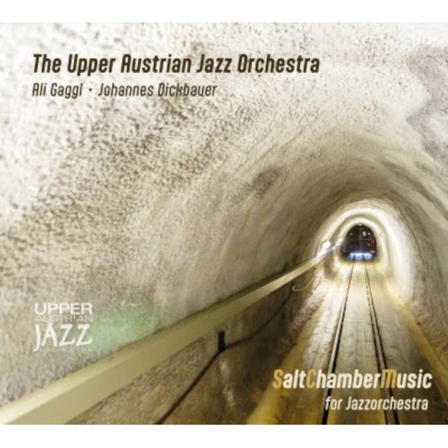 UPPER AUSTRIAN JAZZ ORCHESTRA / アッパー・オーストリアン・ジャズ・オーケストラ / SALTCHAMBERMUSIC FOR JAZZORCHESTRA