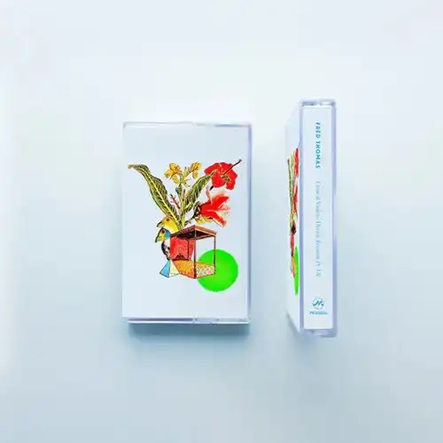 FRED THOMAS / CRITICAL VIOLETS, DREAM EROSION PT. VII