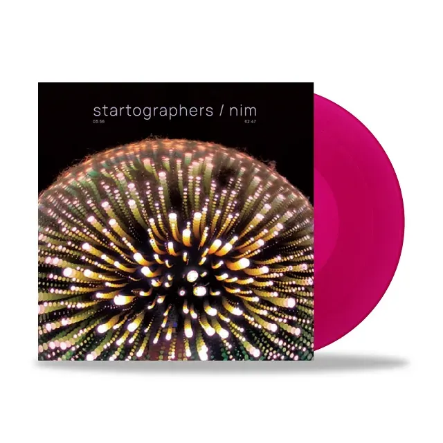STARTOGRAPHERS / nim / ANTE MERIDIEM / KNIVES AND TRIFLES（PINK COLORED VINYL） / ANTE MERIDIEM / KNIVES AND TRIFLES (PINK COLORED VINYL)