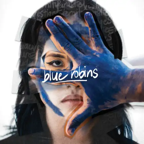 PATRIOTS(from Malaysia) / ペイトリオッツ / BLUE ROBINS