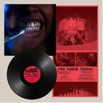 UPCHUCK / I'M NICE NOW (LP/BLACK VINYL)
