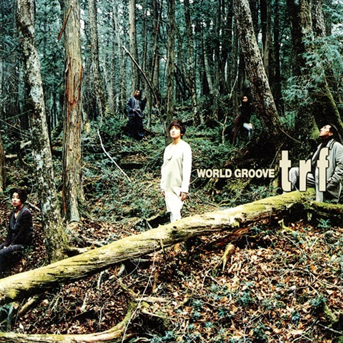TRF / WORLD GROOVE（2LP）