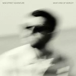 NEW STREET ADVENTURE / ニュー・ストリート・アドヴェンチャー / WHAT KIND OF WORLD?