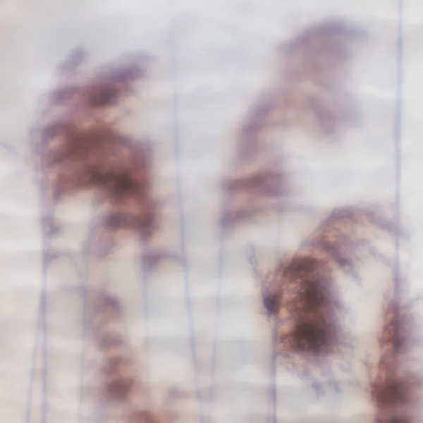OVID / DREAM SEQUENCE EP