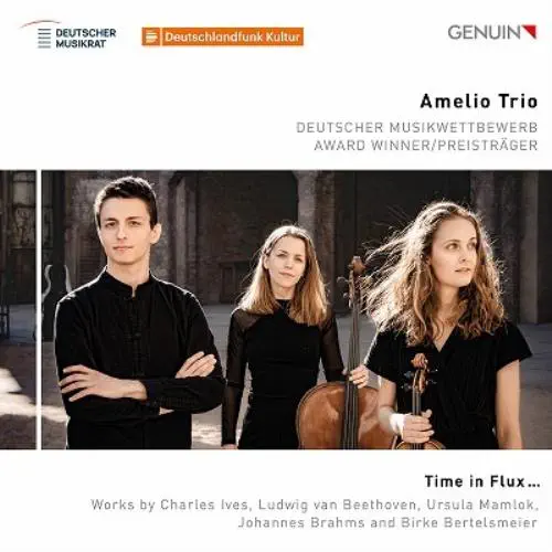 AMELIO TRIO / アメリオ・トリオ / MAMLOK:PANTA RHEI TIME IN FLUX / TIME IN FLUX