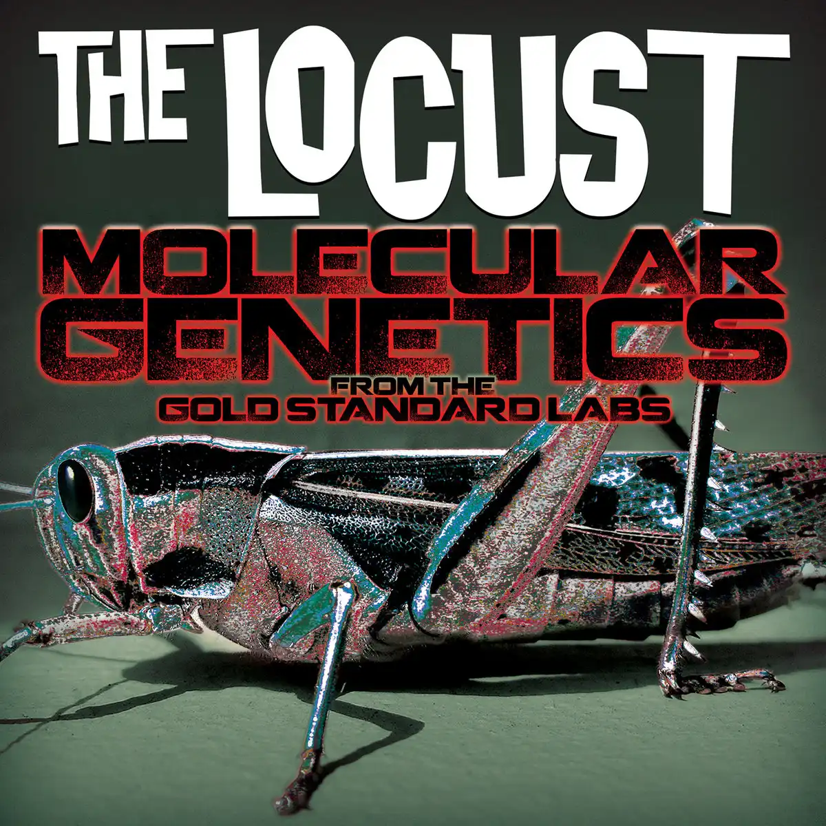 LOCUST / ロカスト / MOLECULAR GENETICS FROM THE GOLD STANDARD LABS (LP)
