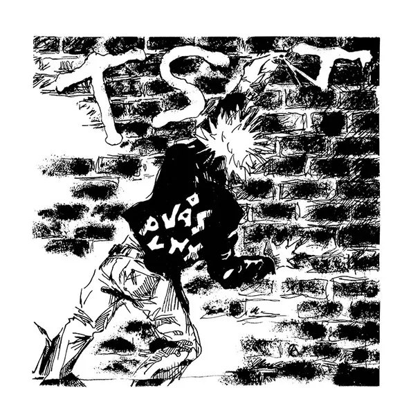 T.S.T / VAS PUNX
