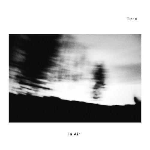 TERN(JAZZ) / IN AIR