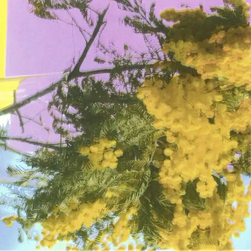 FOUR TET / フォー・テット / INTO DUST (STILL FALLING)
