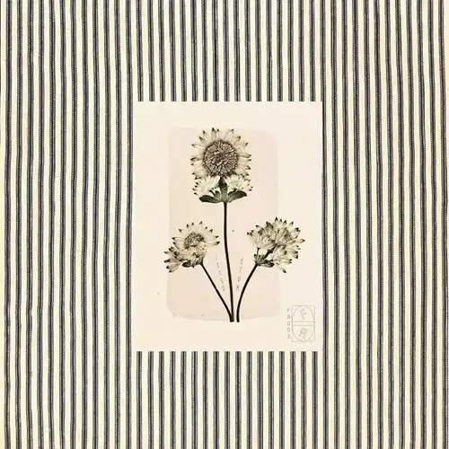 JEIGO / ETUM (2XLP)