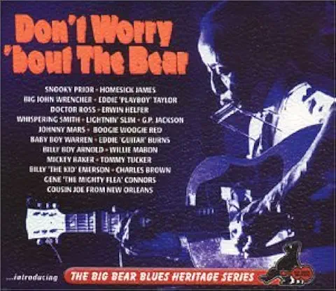 VARIOUS / ヴァリアス / DON'T WORRY 'BOUT THE BEAR