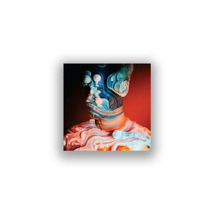 JORIS VOORN / ヨリス・ヴォーン / SEROTONIN (CD)