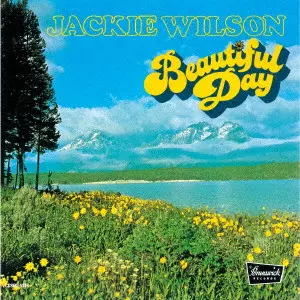 JACKIE WILSON / ジャッキー・ウィルソン / ビューティフル・デイ +3