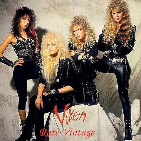 VIXEN / ヴィクセン / RARE VINTAGE