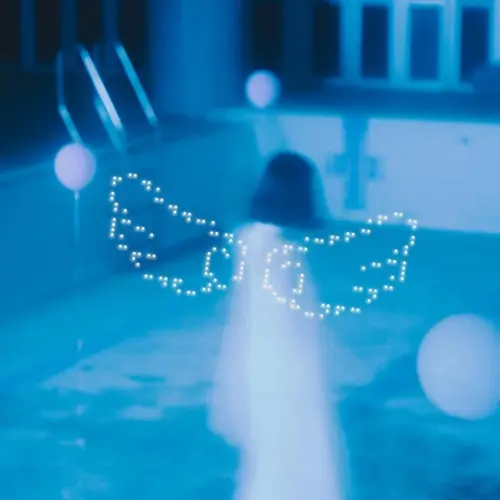 roi bob / POOL