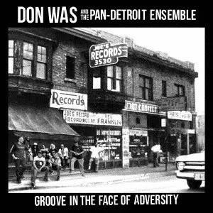 DON WAS / ドン・ウォズ / グルーヴ・イン・ザ・フェイス・オブ・アドヴァーシティ / GROOVE IN THE FACE OF ADVERSITY