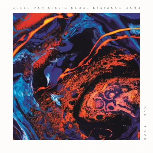 JELLE VAN GIEL / ALL I HERE (LP)